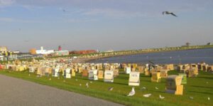 Strandkörbe am Grünstrand in Büsum